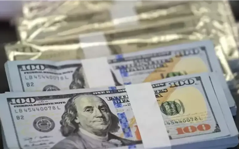 سعر صرف الدولار في البنك المركزي والبنوك المصرية اليوم الأحد (التحديث الأخير)